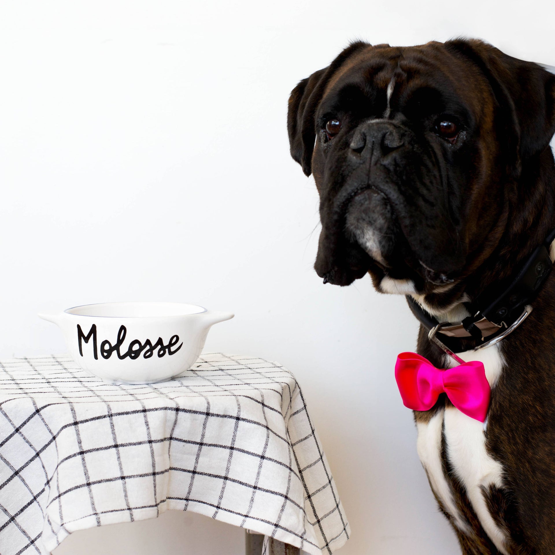 Oggetto regalo di design – bol breton molossse pied de poule