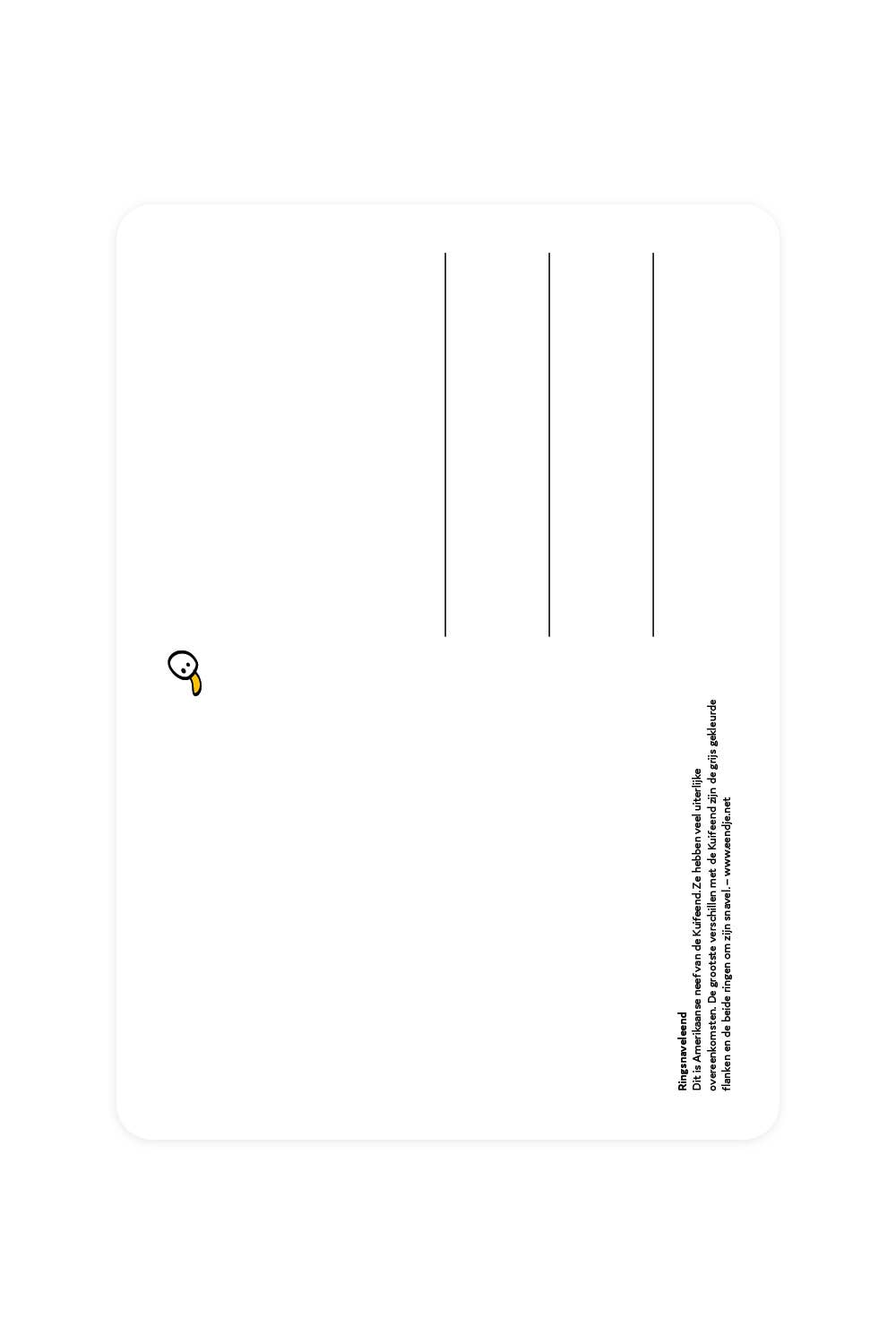 Postcard with duck with ringed beans