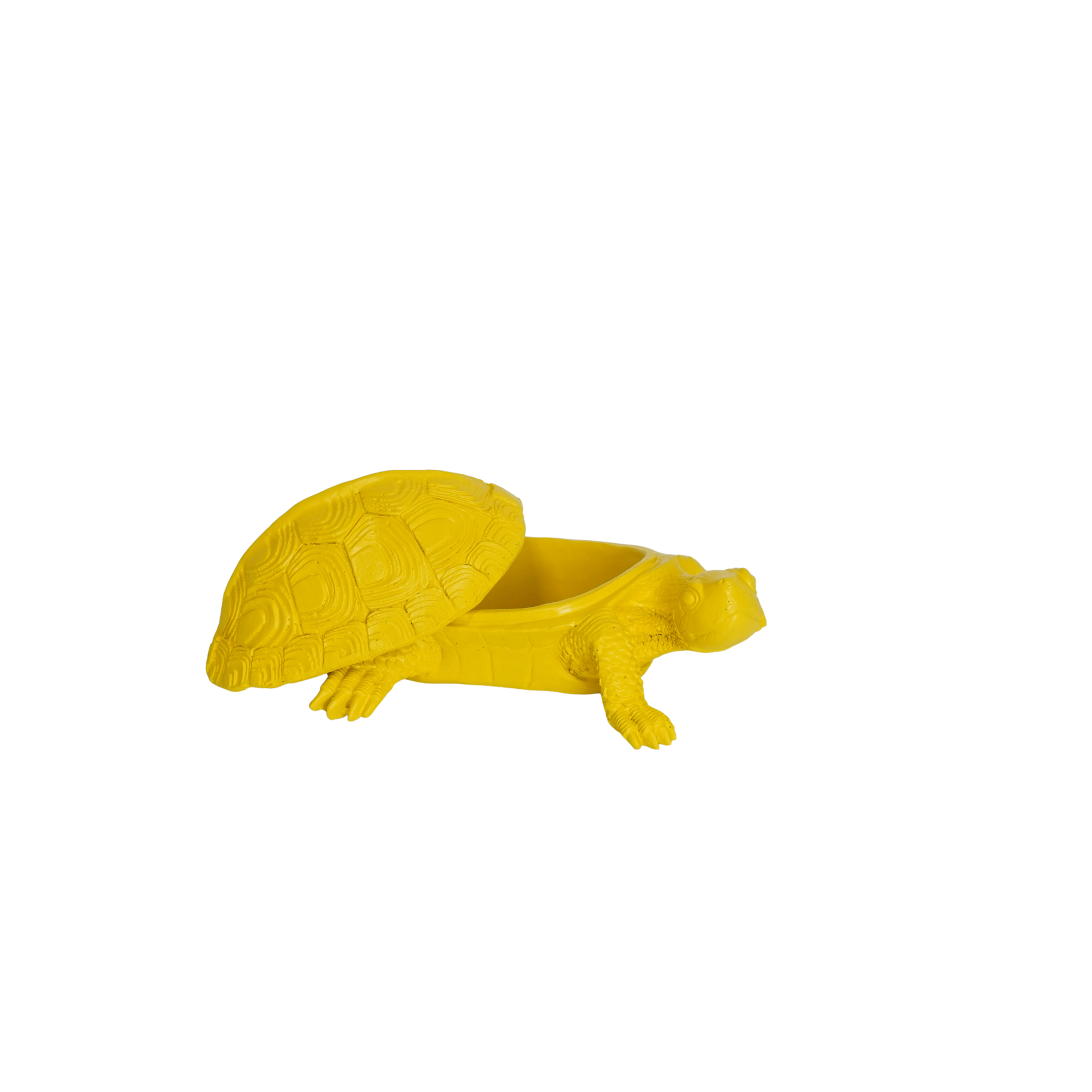 Schildkrötenbox - Gelb