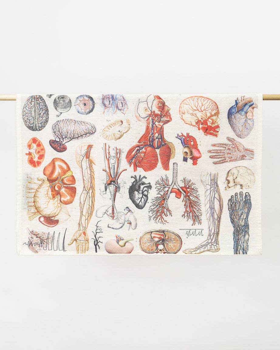Oggetto regalo di design – Torchon D'anatomie – produit scientifique Cognitive Surplus EU, vue 3
