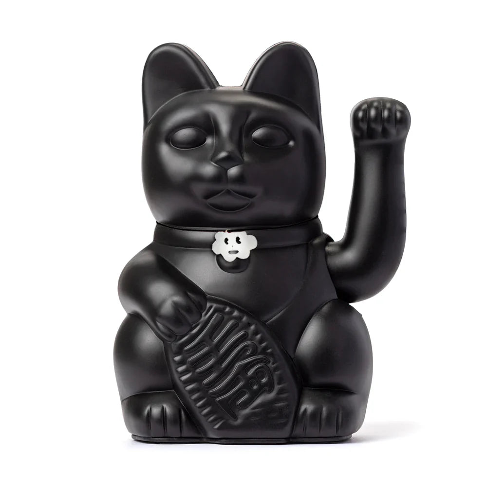 Fortunato gatto nero