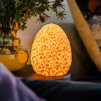 Lampe Daisy