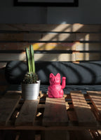 Designcadeau – chat chanceux rouge violet diminuto cielo 