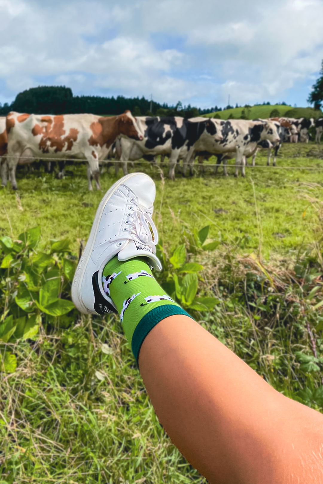 Chaussettes « Vaches » - Chulé