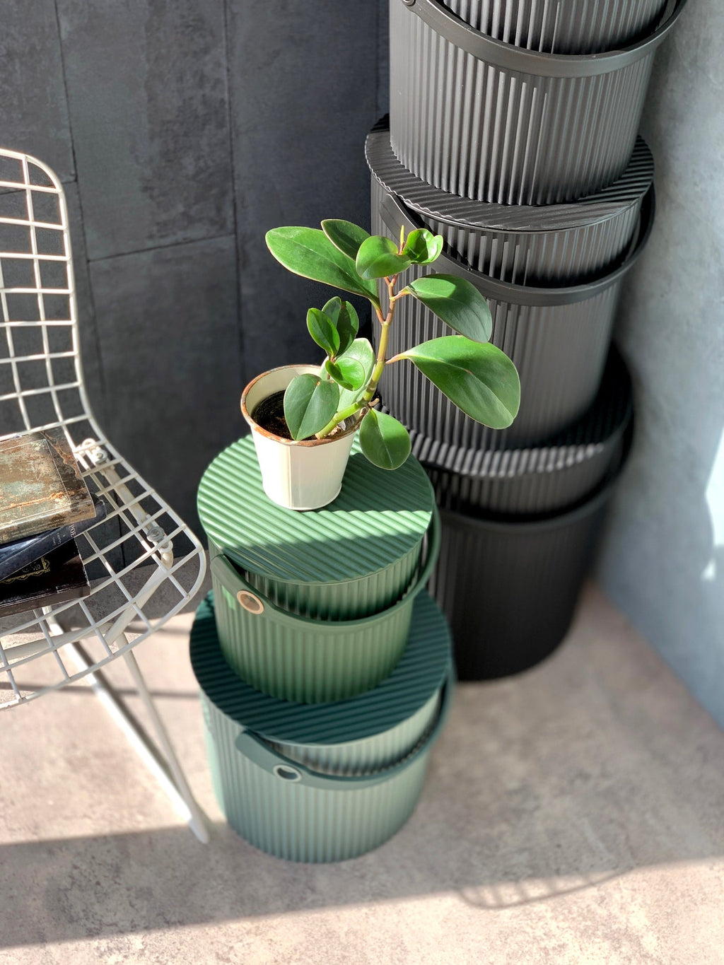 Oggetto regalo di design – | Boutique d'objets cadeaux designs CoolDesign.fr