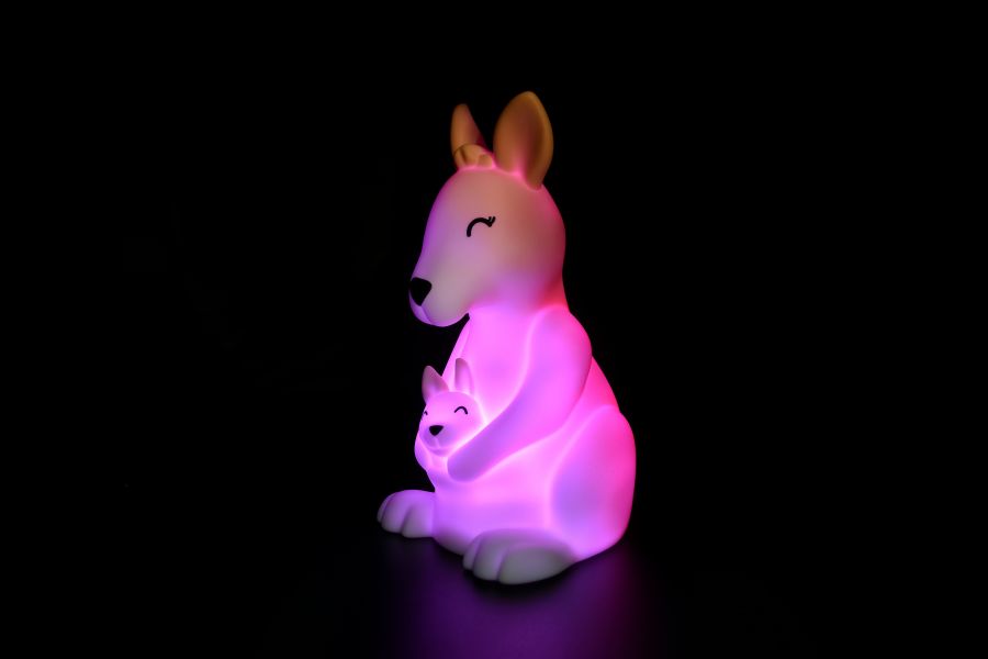 Regalo de diseño – - OFCK.fr