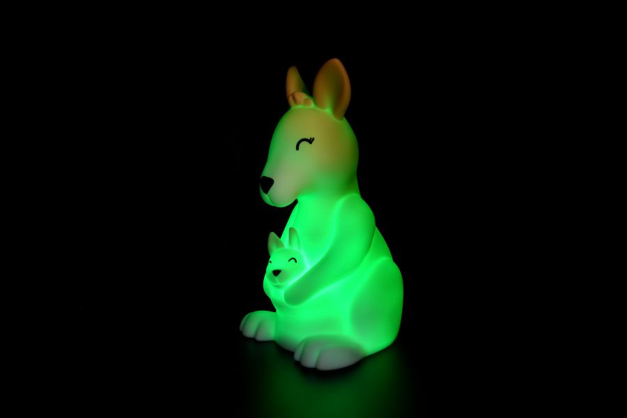 Regalo de diseño – - OFCK.fr