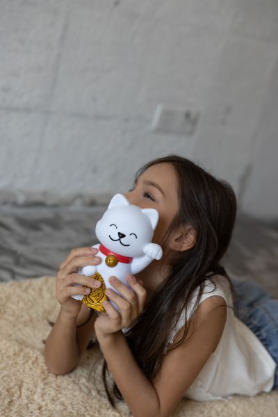 veilleuse chat chanceux dhink 