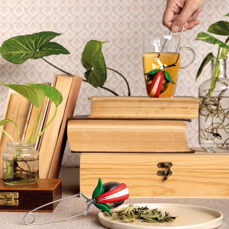 cuillere infuseur a the plante carnivore ototo 