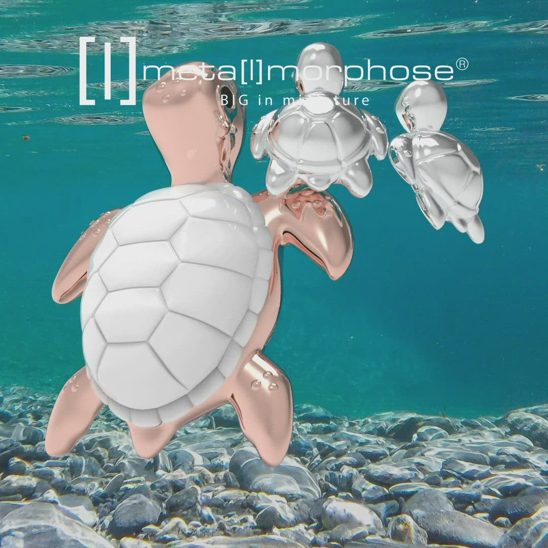 Schildkrötenschlüssel für Goldene Meeres