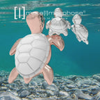 Key Turtle Key Key Porte