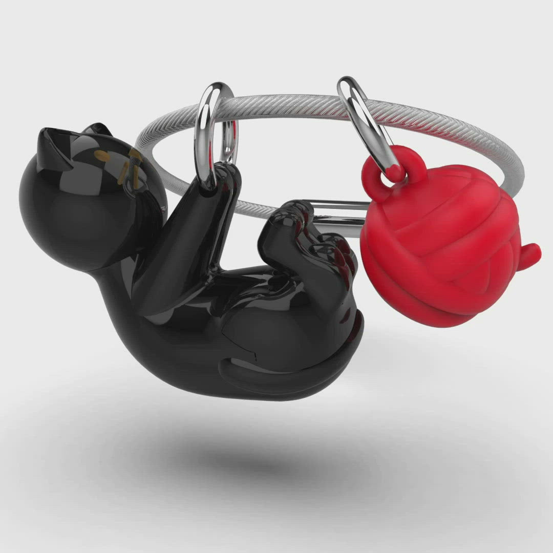 Porta della chiave del gatto nero