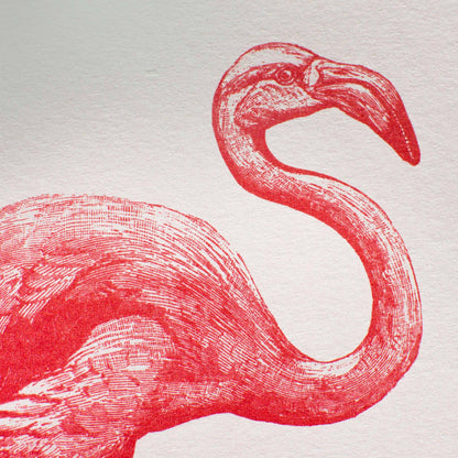 Artprint Flamant Rose