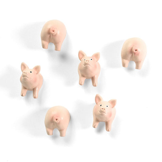 Magnets Cochons