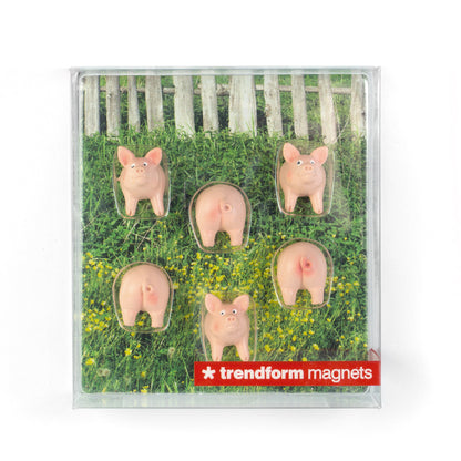 Magnets Cochons