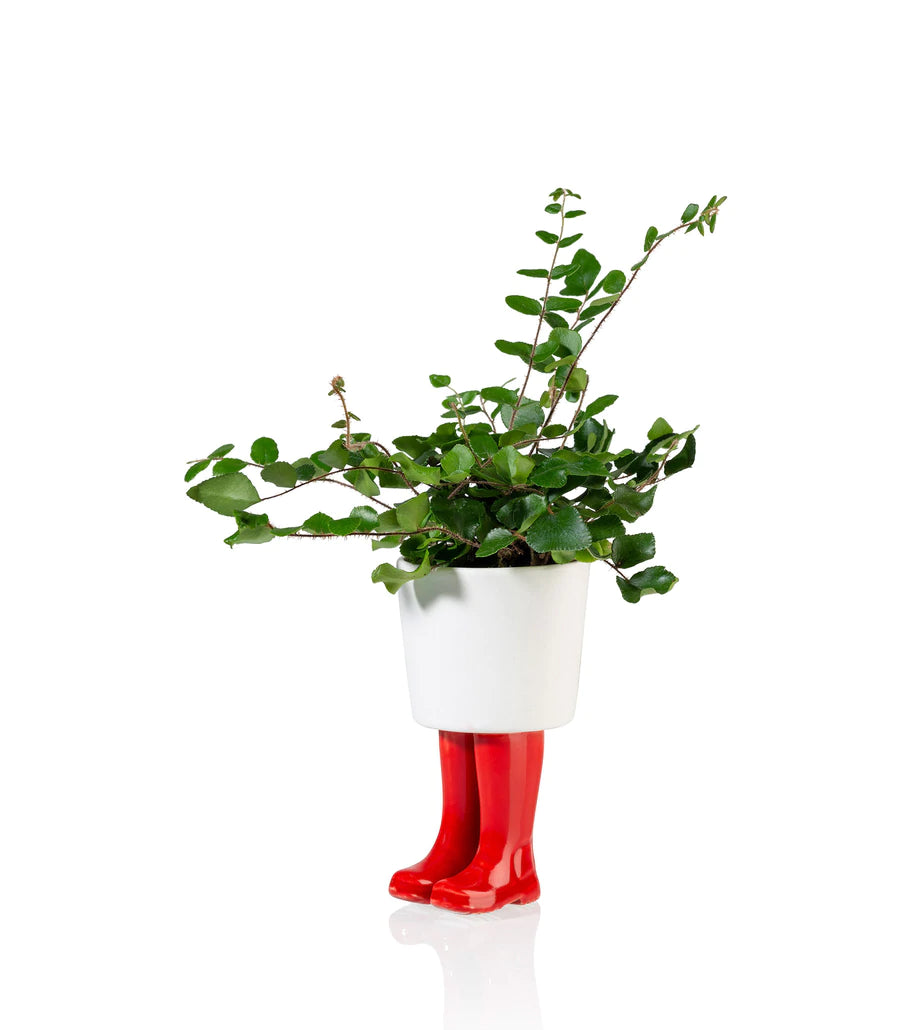 Flower jar Boots Wellington Red