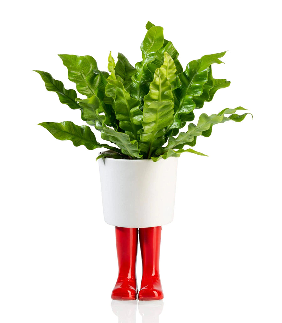 Flower jar Boots Wellington Red