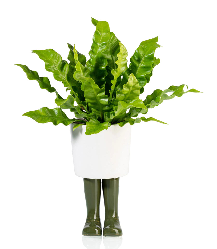 Flower jar Boots Welington Green