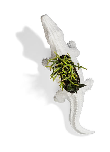 Pot de fleur Crocodile