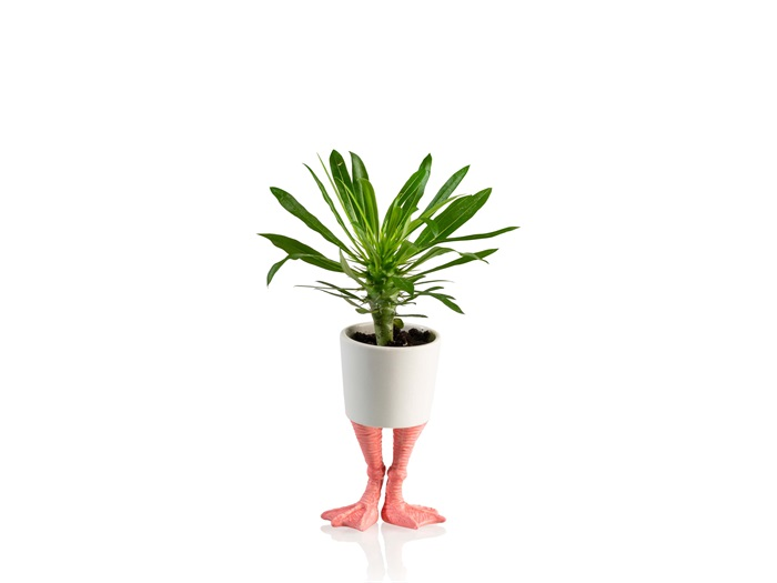 Flower jar pink legs