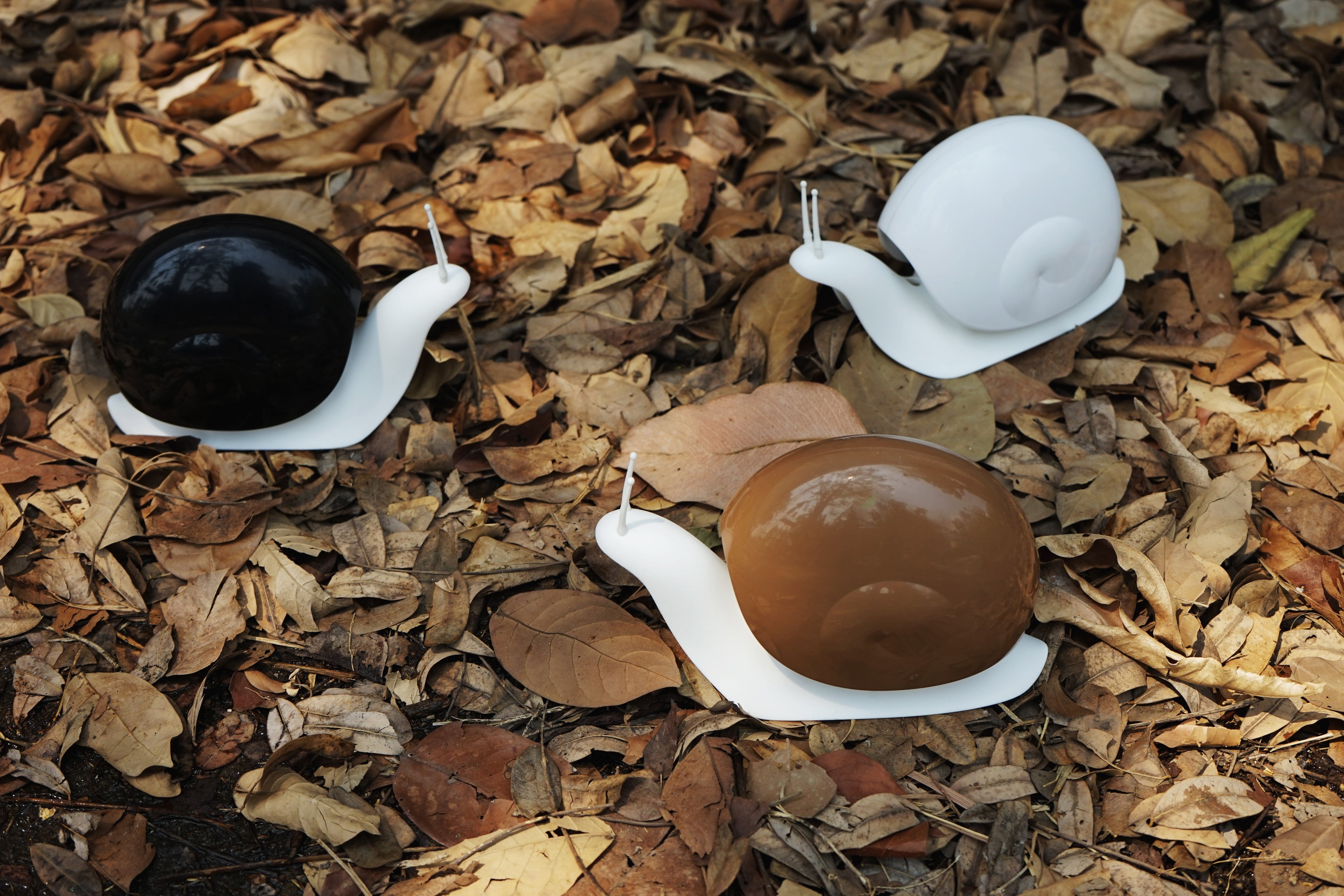 Regalo de diseño – distributeur de savon escargot QL10261WH BN 8858782108436