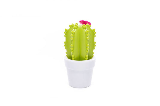 Veilleuse Cactus Fleur Dhink | Boutique veilleuses enfant)
