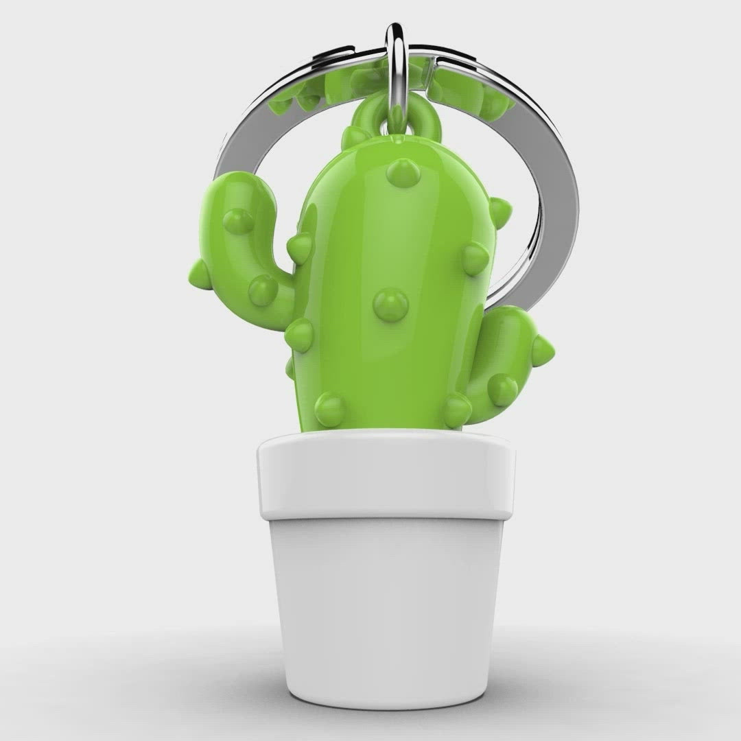 Puerta de llave de cactus verde