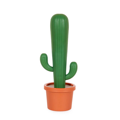 Brosse Vaisselle Cactus