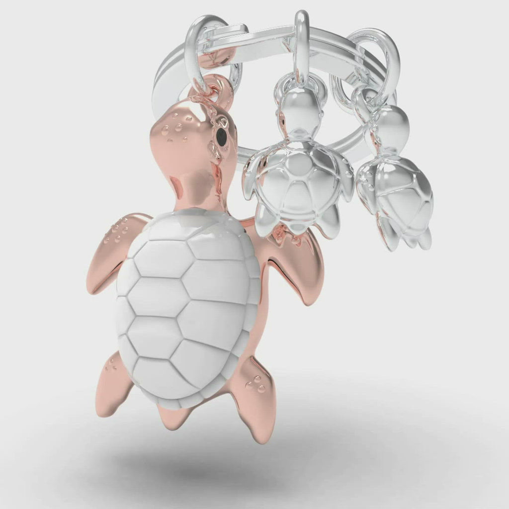 Key Turtle Key Key Porte