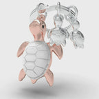 Key Turtle Key Key Porte