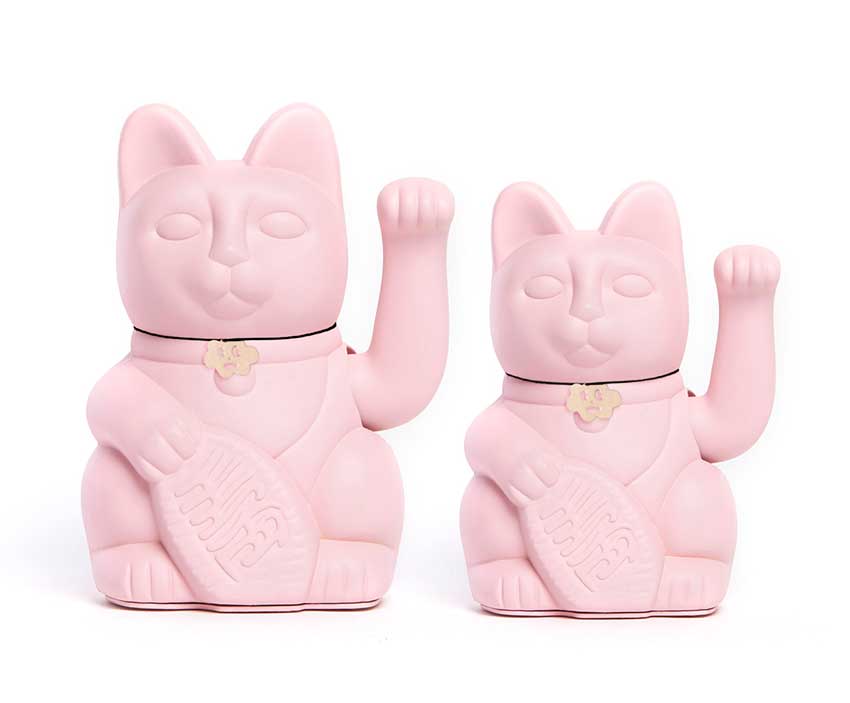 Lucky pink cat